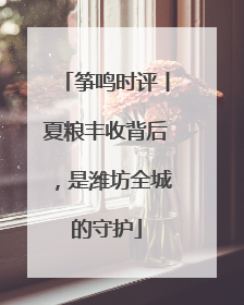 筝鸣时评丨夏粮丰收背后，是潍坊全城的守护