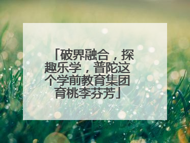 破界融合，探趣乐学，普陀这个学前教育集团育桃李芬芳