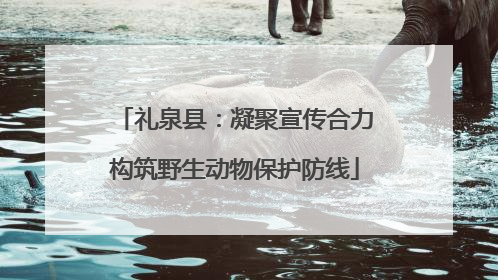 礼泉县：凝聚宣传合力构筑野生动物保护防线