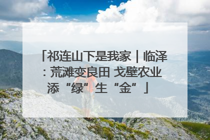祁连山下是我家｜临泽：荒滩变良田 戈壁农业添“绿”生“金”
