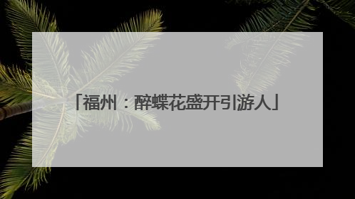 福州：醉蝶花盛开引游人