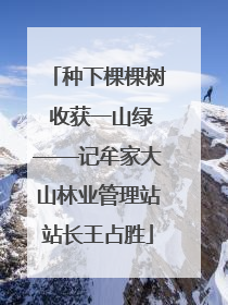 种下棵棵树 收获一山绿——记牟家大山林业管理站站长王占胜