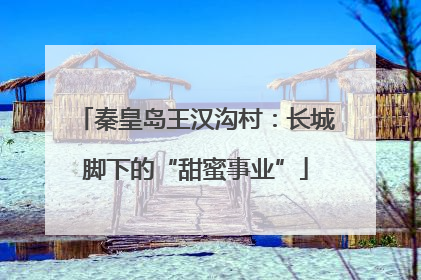 秦皇岛王汉沟村：长城脚下的“甜蜜事业”