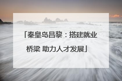 秦皇岛昌黎：搭建就业桥梁 助力人才发展