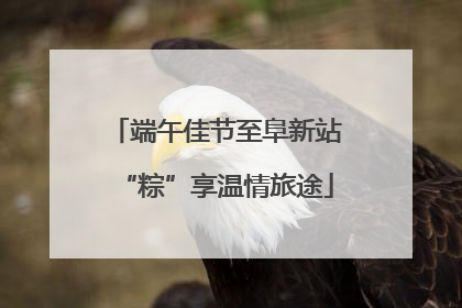 端午佳节至阜新站“粽”享温情旅途