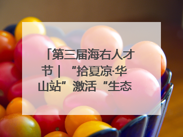 第三届海右人才节｜“拾夏凉·华山站”激活“生态聚才”强磁场