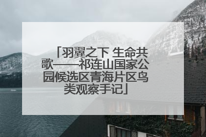 羽翼之下 生命共歌——祁连山国家公园候选区青海片区鸟类观察手记