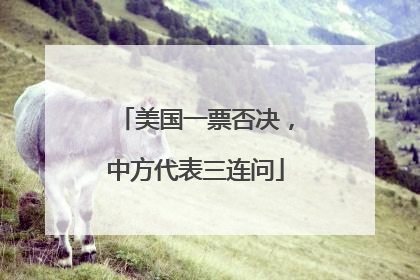 美国一票否决，中方代表三连问
