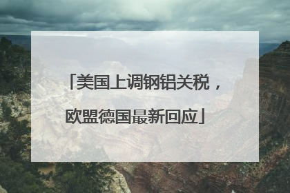 美国上调钢铝关税，欧盟德国最新回应