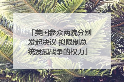 美国参众两院分别发起决议 拟限制总统发起战争的权力