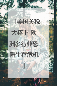 美国关税大棒下 欧洲多行业恐陷生存危机