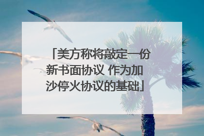 美方称将敲定一份新书面协议 作为加沙停火协议的基础