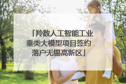 羚数人工智能工业垂类大模型项目签约落户无锡高新区
