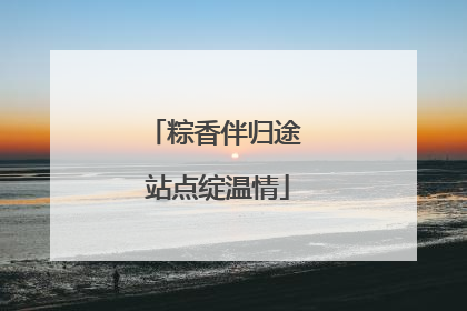 粽香伴归途 站点绽温情