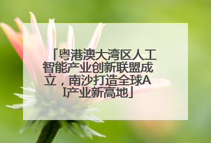 粤港澳大湾区人工智能产业创新联盟成立，南沙打造全球AI产业新高地