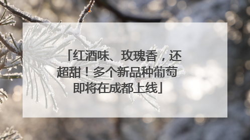 红酒味、玫瑰香，还超甜！多个新品种葡萄即将在成都上线