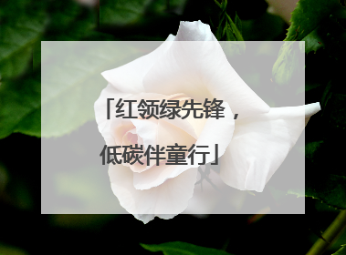 红领绿先锋，低碳伴童行