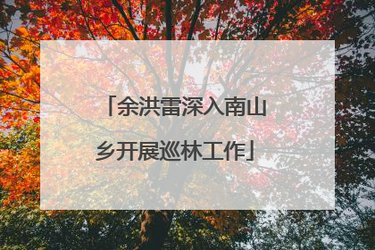 余洪雷深入南山乡开展巡林工作