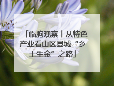 临朐观察丨从特色产业看山区县城“乡土生金”之路