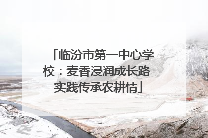 临汾市第一中心学校：麦香浸润成长路 实践传承农耕情