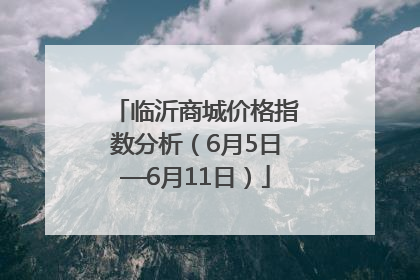 临沂商城价格指数分析（6月5日—6月11日）