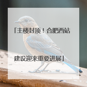 主楼封顶！合肥西站建设迎来重要进展