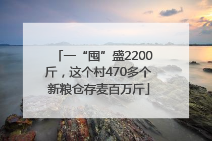 一“囤”盛2200斤，这个村470多个新粮仓存麦百万斤