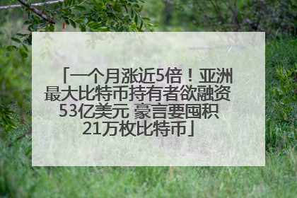一个月涨近5倍！亚洲最大比特币持有者欲融资53亿美元 豪言要囤积21万枚比特币