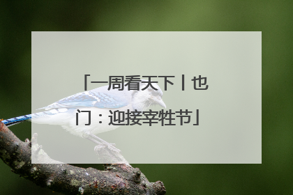 一周看天下丨也门：迎接宰牲节