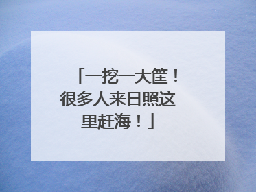 一挖一大筐！很多人来日照这里赶海！