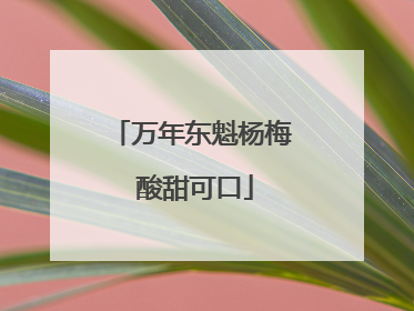 万年东魁杨梅 酸甜可口