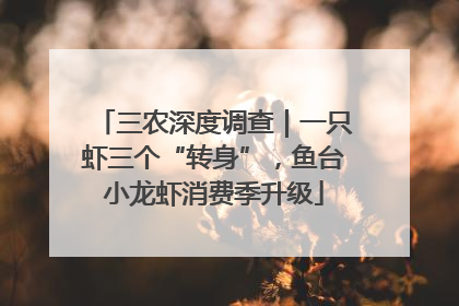 三农深度调查｜一只虾三个“转身”，鱼台小龙虾消费季升级