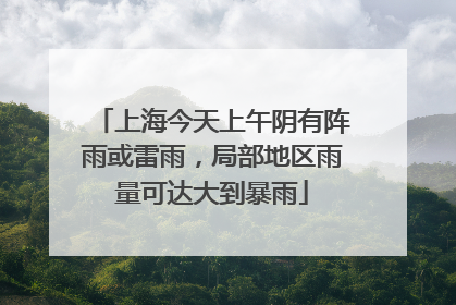 上海今天上午阴有阵雨或雷雨，局部地区雨量可达大到暴雨