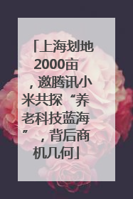 上海划地2000亩，邀腾讯小米共探“养老科技蓝海”，背后商机几何