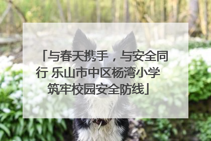 与春天携手，与安全同行 乐山市中区杨湾小学筑牢校园安全防线