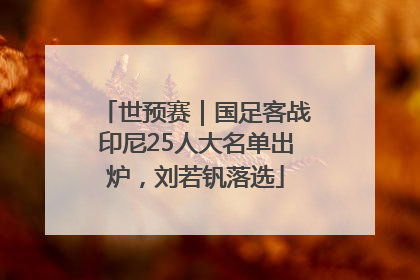 世预赛｜国足客战印尼25人大名单出炉，刘若钒落选