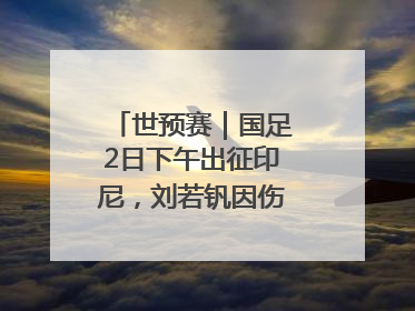 世预赛｜国足2日下午出征印尼，刘若钒因伤落选大名单