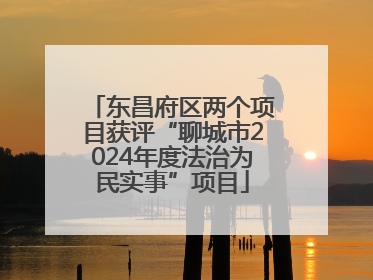 东昌府区两个项目获评“聊城市2024年度法治为民实事”项目