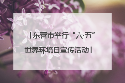 东营市举行“六·五”世界环境日宣传活动