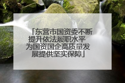 东营市国资委不断提升依法履职水平 为国资国企高质量发展提供坚实保障