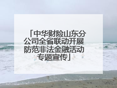 中华财险山东分公司全省联动开展防范非法金融活动专题宣传