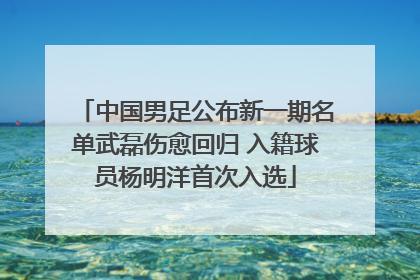 中国男足公布新一期名单武磊伤愈回归 入籍球员杨明洋首次入选