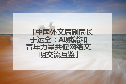 中国外文局副局长于运全：AI赋能和青年力量共促网络文明交流互鉴