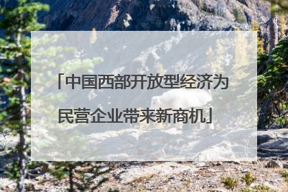 中国西部开放型经济为民营企业带来新商机