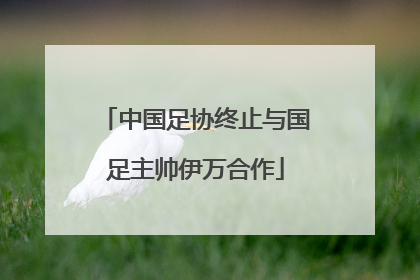 中国足协终止与国足主帅伊万合作