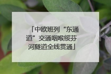 中欧班列“东通道”交通咽喉绥芬河隧道全线贯通