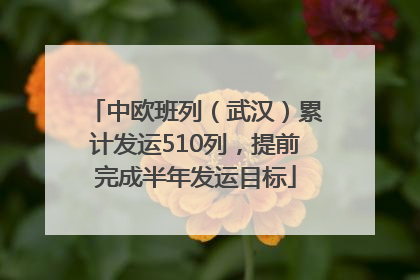 中欧班列（武汉）累计发运510列，提前完成半年发运目标