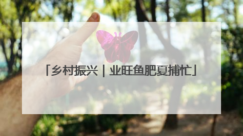 乡村振兴｜业旺鱼肥夏捕忙