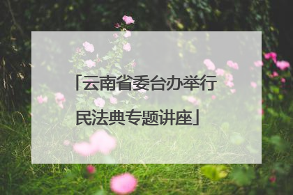 云南省委台办举行民法典专题讲座
