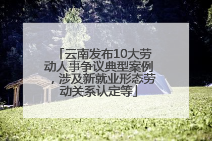 云南发布10大劳动人事争议典型案例，涉及新就业形态劳动关系认定等